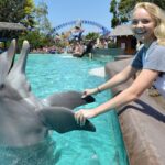 beloved-seaworld-san-diego-staple-dottie-the-39-year-old-dolphin-dies