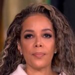 abc’s-hostin:-platner-‘allegations-are-true’-but-our-country-in-‘grave-peril’