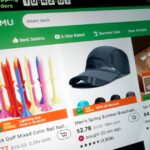 chinese-online-shop-temu-slapped-with-$232-million-fine-over-illegal-goods