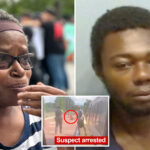 great-grandmother-stabbed-to-death-on-marta-train-carried-a-knife-but-‘didn’t-have-time-to-protect-herself’