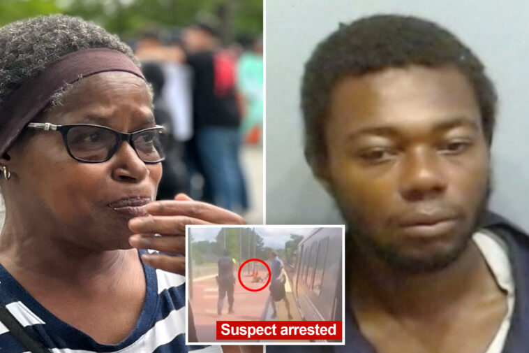 great-grandmother-stabbed-to-death-on-marta-train-carried-a-knife-but-‘didn’t-have-time-to-protect-herself’