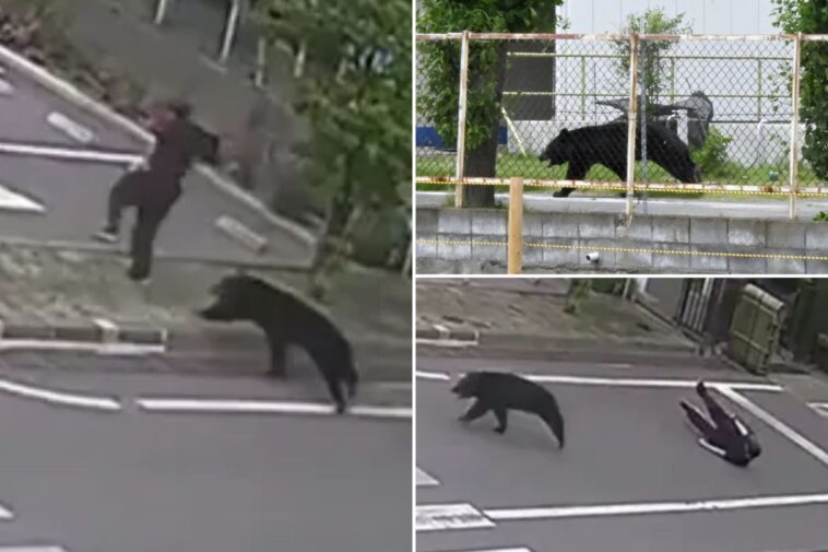 bear-injures-4-people-during-brutal-attacks-in-japanese-residential-area-as-encounters-rise