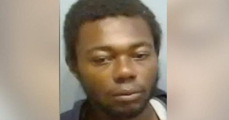 horrific-new-details-emerge-regarding-brutal-murder-of-great-grandmother-in-broad-daylight-on-atlanta-train-by-demented-thug