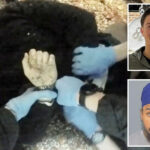 callous-cops-handcuff-teen-as-he-bled-out-after-sikh-knife-attack-that’s-sent-shockwaves-across-uk