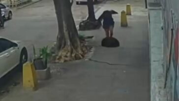 terrifying-moment-woman-falls-down-a-manhole-after-cover-gives-way-beneath-her