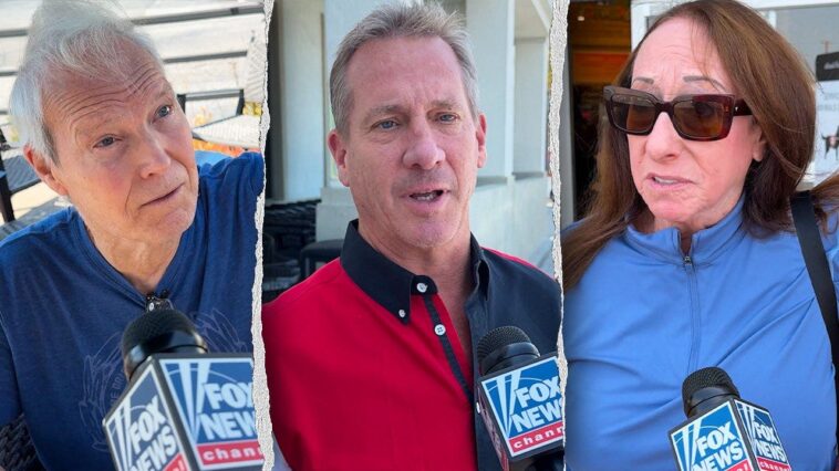 see-it:-la-voters-split-on-pratt’s-mayoral-bid-as-one-issue-dominates-election-day