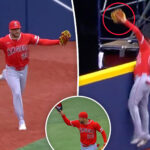 angels’-jose-siri-hits-grand-slam-a-day-after-robbing-one-in-rare-feat