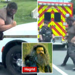 bizarre-moment-maryland-police-arrest-giant-suspect-as-his-pants-and-underwear-fall-down-in-viral-video