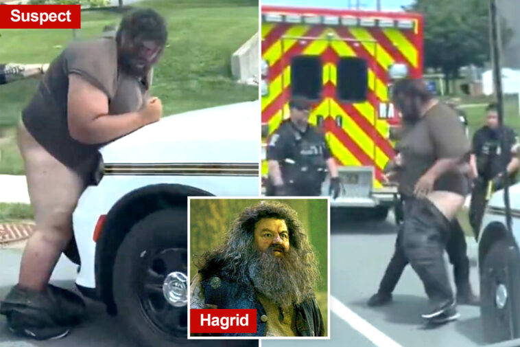bizarre-moment-maryland-police-arrest-giant-suspect-as-his-pants-and-underwear-fall-down-in-viral-video