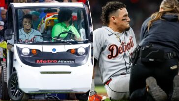 javier-baez-shut-down-from-baseball-activities-in-latest-tigers-injury-crusher