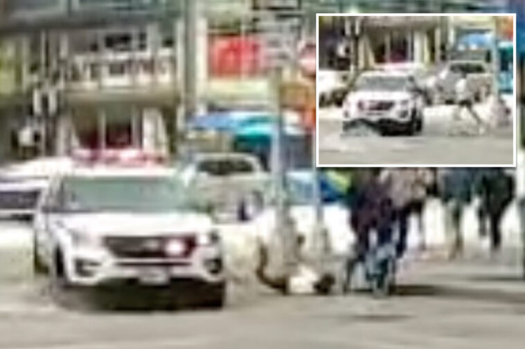 nypd-patrol-car-collides-with-jogger-while-responding-to-reported-theft-in-columbus-circle:-wild-video