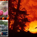 $4m-settlement-after-gender-reveal-ignited-deadly-socal-wildfire