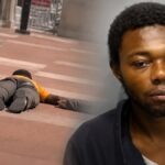the-chilling-six-seconds-before-a-great-grandmother-was-butchered-on-a-train