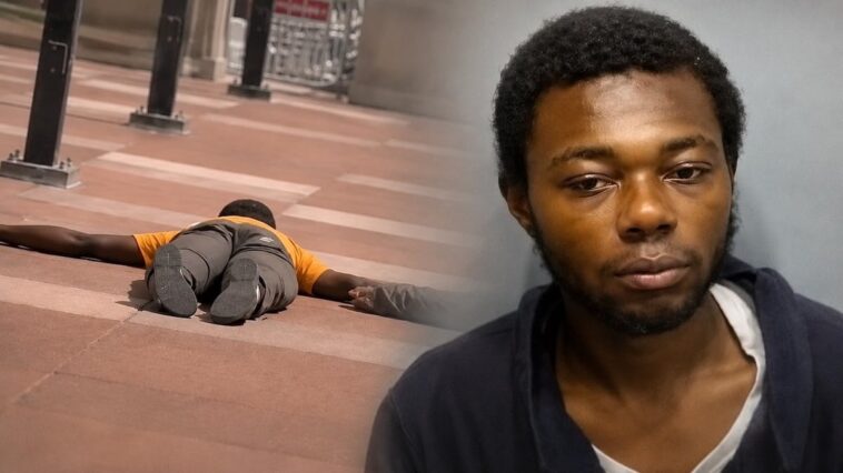 the-chilling-six-seconds-before-a-great-grandmother-was-butchered-on-a-train