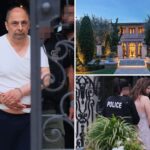 fbi-raids-$35m-socal-mansion-of-tech-boss-charged-with-sending-secret-shipments-to-iranian-military,-nuclear-programs