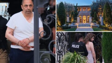 fbi-raids-$35m-socal-mansion-of-tech-boss-charged-with-sending-secret-shipments-to-iranian-military,-nuclear-programs