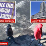 wannabe-uzbek-mobsters-staggering-$45m-‘goodfellas’-scheme:-cigarettes-high-end-cheese-copper-wires.