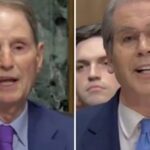 watch:-scott-bessent-obliterates-loathsome-democrat-senator-during-hearing-with-a-devastating-question-regarding-his-son’s-shady-background