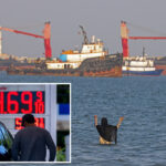 oecd-warns-trump,-iran-have-a-month-to-reopen-strait-of-hormuz-–-or-risk-major-economic-slowdown