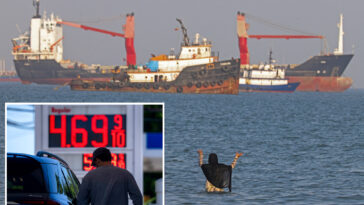 oecd-warns-trump,-iran-have-a-month-to-reopen-strait-of-hormuz-–-or-risk-major-economic-slowdown