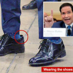 marco-rubio-grilled-over-his-florsheim-shoes-during-unhinged-dem-line-of-questioning:-‘is-this-a-circus?’