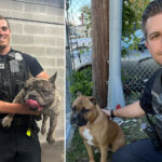 thirsty-ladies-hound-nj-police-department-over-‘super-hot’-cops-with-lost-pets:-‘i’ll-claim-him.-the-dog-too’