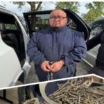 exclusive:-ice-nabs-violent-criminal-illegal-alien-after-sanctuary-chicago-authorities-set-him-free