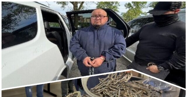exclusive:-ice-nabs-violent-criminal-illegal-alien-after-sanctuary-chicago-authorities-set-him-free