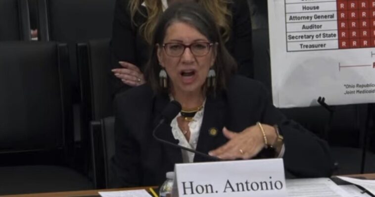 watch:-brandon-gill-and-luke-rosiak-nearly-make-dem-state-senator-cry-over-“hateful-rhetoric”-during-testimony-on-somali-fraud-scheme!-–-“i-was-almost-brought-to-tears!”
