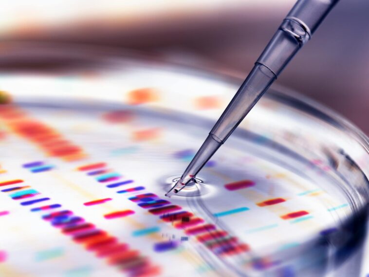 gene-editing-can-save-your-life-and-countless-babies