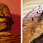 scientists-make-sourdough-from-yeast-found-inside-5,000-year-old-mummy