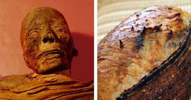 scientists-make-sourdough-from-yeast-found-inside-5,000-year-old-mummy
