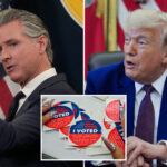 gavin-newsom-issues-sheepish-response-to-trump-on-sluggish-california-vote-counts