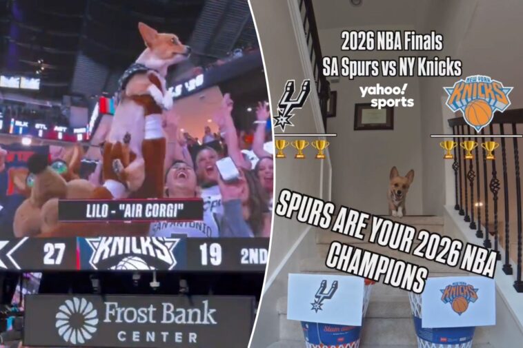air-corgi’s-nba-finals-game-1-appearance-backfires-on-spurs-fans