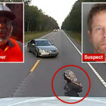 truck-driving-preacher-helps-derail-alleged-kidnapping-attempt-on-south-carolina-highway