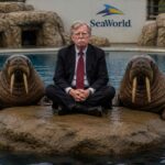 john-bolton-pleads-guilty,-sentenced-to-5-year-imprisonment-at-seaworld