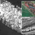 wild-coast-guard-photo-shows-240-illegal-migrants-packed-onto-tiny,-sinking-boat