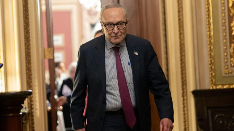 schumer-forces-senate-vote-on-anti-weaponization-fund
