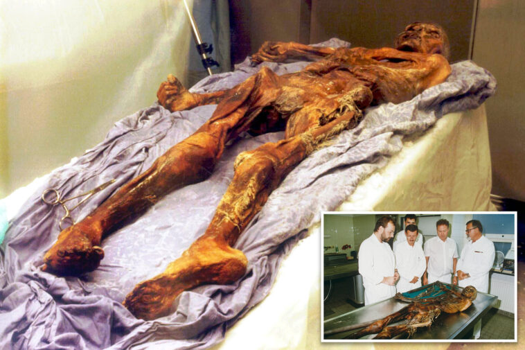 scientists-turn-yeast-found-in-gut-of-ancient-mummy-into-‘very-good’-sourdough-bread-—-beer’s-next