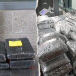 massive-mexico-california-border-busts-uncover-eye-popping-amount-of-drugs:-‘remain-vigilant’