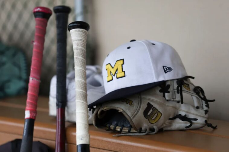 massapequa-looks-to-stop-rival-sachem-from-winning-lacrosse,-softball-titles