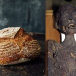 this-sourdough-starter-is-5,300-years-old-—-and-it-came-from-a-mummy’s-gut