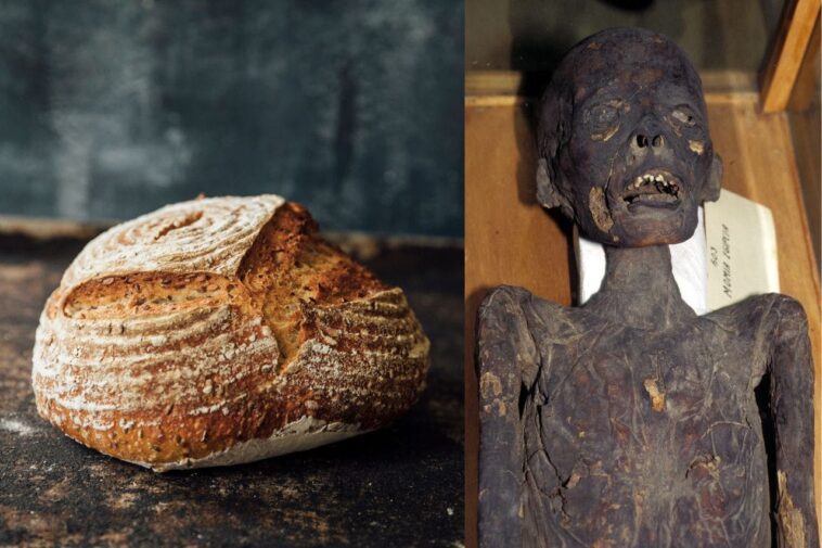 this-sourdough-starter-is-5,300-years-old-—-and-it-came-from-a-mummy’s-gut