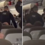 passenger-bites-cop-after-sneaking-on-plane-without-paying-for-excess-baggage:-wild-video