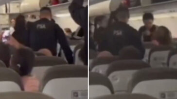 passenger-bites-cop-after-sneaking-on-plane-without-paying-for-excess-baggage:-wild-video