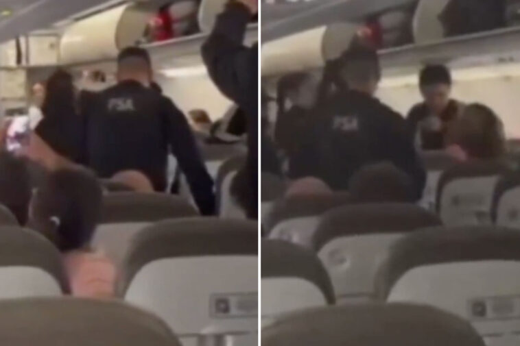 passenger-bites-cop-after-sneaking-on-plane-without-paying-for-excess-baggage:-wild-video
