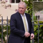 ex-prince-andrew-made-money-subletting-3-cottages-on-his-rent-free-estate:-report