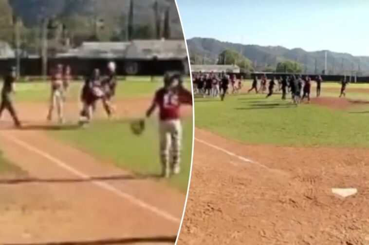 benches-clearing-brawl-breaks-out-during-southern-california-hs-baseball-playoff-game-—-it-cost-both-teams-dearly