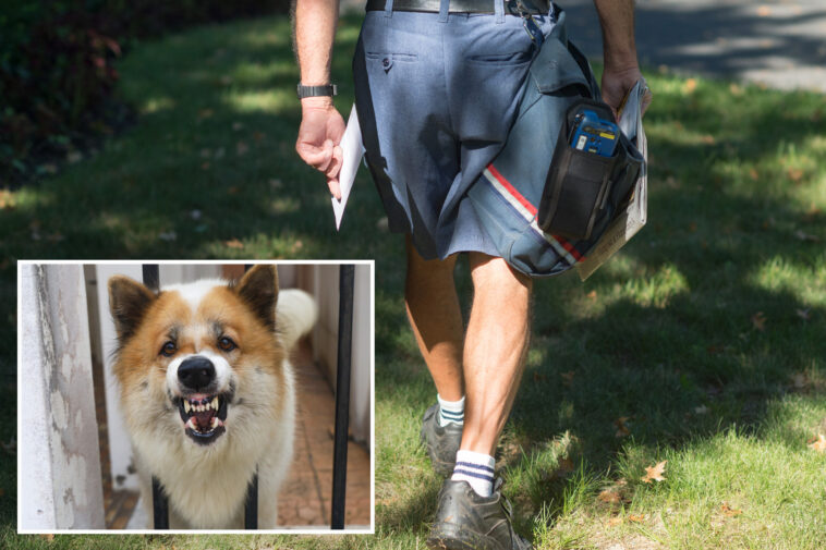 usps-reveals-startling-number-of-dog-attacks-on-workers-—-and-issues-urgent-warning-to-pet-owners