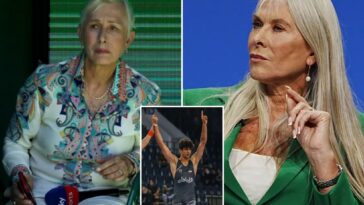 olympians-call-on-world-governing-powers,-sports-bodies-to-prevent-iran’s-execution-of-star-athletes